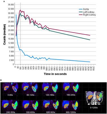 Non-invasive estimation of split renal function from routine 68Ga-SSR-PET/CT scans